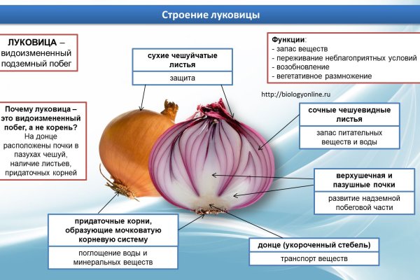 Как восстановить пароль кракен